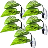 5 Pieces Betta Fish Leaf Betta Bed Leaf Hammock Fish Spawning Grounds with Suction Cup