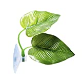 JOR Betta Leaf Hammocks, Must Have for Your Betta, Twin Leaves for Shy, Curious or Ninja Bettas, 1 Set Per Pack