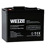 Weize 12V 75AH Deep Cycle Battery for Wayne ESP25 WSS30V Backup Sump Pump, Trolling Motor, Solar System, Mobility Wheelchair, General Use