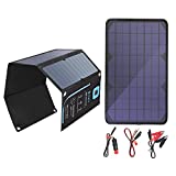 BigBlue 28W SunPower Solar Panels Charger with Digital Ammeter and 10W/18V Solar Battery Maintainer with Cigarette Lighter Plug & Alligator Clip