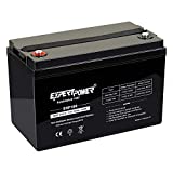 ExpertPower 12V 100Ah Deep Cycle Sealed Lead Acid Battery for Solar Wind Power (AGM)