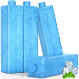 COMFYHOME Ice Packs for Portable Evaporative Air Cooler/Swamp Cooler, Long Lasting Freezer, Reusable Ice packs for Lunch Boxes/Bags, Camping, Beach, Picnic and More (Sets of 4, Blue)
