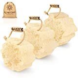 Almooni Mini Natural Loofah Sponge - Real Egyptian Shower Exfoliating Loofah - Small Loofah Scrubber for The Perfect Grip