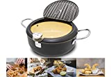 Japanese Deep Fryer Pot for Home by Cyrder, 9.5inch with Thermometer and Lid, High Temperature-Resisting Nonstick Coating with Oil Filtration, Fried tempura/chicken/fish/shrimp/meat ball, Easy Clean