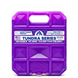 Long Lasting Ice Pack for Coolers, Camping, Fishing and More, Large Reusable Ice Pack, Tundra Series by Arctic Ice , Purple