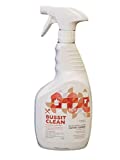Bussit Clean Foodservice Surface Sanitizer & Cleaner, Spray and Wipe, Kills 99.9% of Kitchen Bacteria, 1 Quart (Each)
