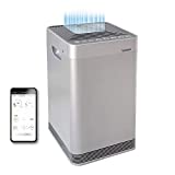 NuWave OxyPure Large Area Smart Air Purifier - Capture and Eliminate Smoke, Dust, Pollen, Mold, Pet Dander, Allergens, Lead, Formaldehyde, Gases, Bacteria, VOCs & Germs - NuWave Air Purifiers for Home