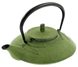 Iwachu Iron Teapot, Green Dragonfly