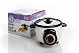 Pars Automatic Persian Rice Cooker - Tahdig Rice Maker Perfect Rice Crust 3 Cup