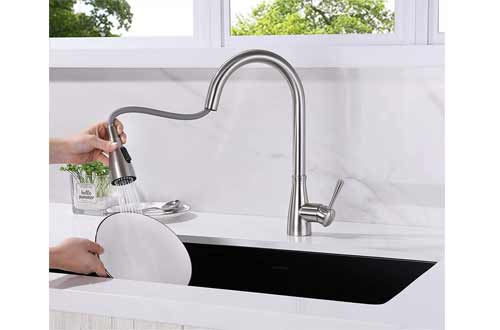 NEOBANO Brushed Nickel Kitchen Faucet with Sprayer