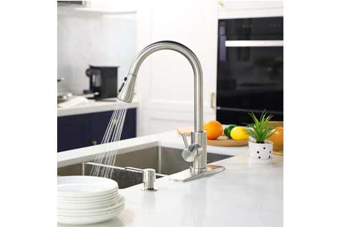 High Arc Single Handle Kitchen Sink Faucet with Deck Plate