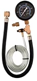 Actron CP7818 Fuel Pressure Tester Kit,Black