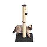 Amazon Basics Medium Cat Scratching Post - 16 x 16 x 32 Inches, Gray