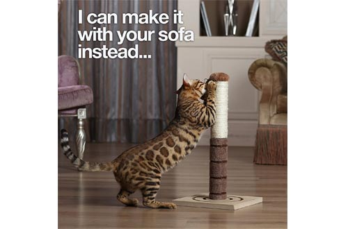 Cat Scratch Post Cats Kittens