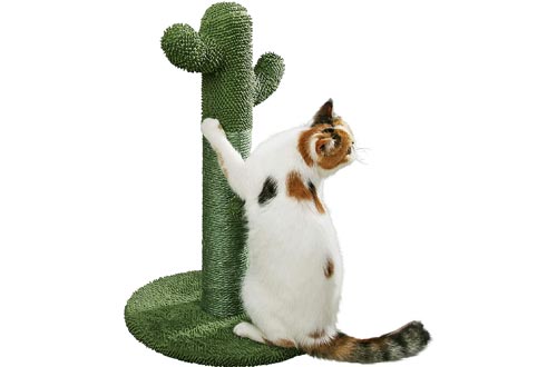 PetnPurr Cat Scratching Post with Teaser Ball