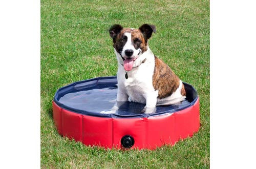 NACOCO Foldable Pet Outdoor Swimming Playing Pond