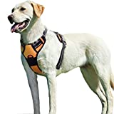 Eagloo Dog Harness No Pull, Walking Pet Harness with 2 Metal Rings and Handle Adjustable Reflective Breathable Oxford Soft Vest Easy Control Front Clip Harness Outdoor for Large Dogs Orange