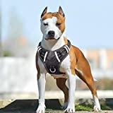 BABYLTRL Big Dog Harness No Pull Adjustable Pet Reflective Oxford Soft Vest for Large Dogs Easy Control Harness (XL, Black)