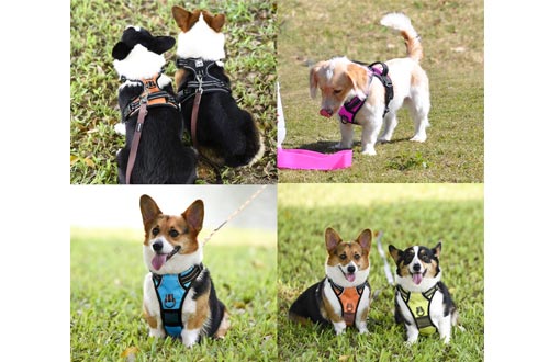 PoyPet No Pull Dog Harness, [Upgraded Version] No Choke Front Lead Dog Reflective Harness, Adjustable Soft Padded Pet Vest with Easy Control Handle for Small to Large Dogs