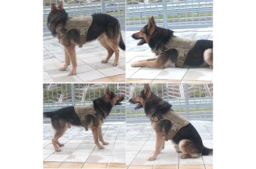 ICEFANG Tactical Dog Harness,K9 Working Dog Vest,No Pulling Front Clip Leash Attachment