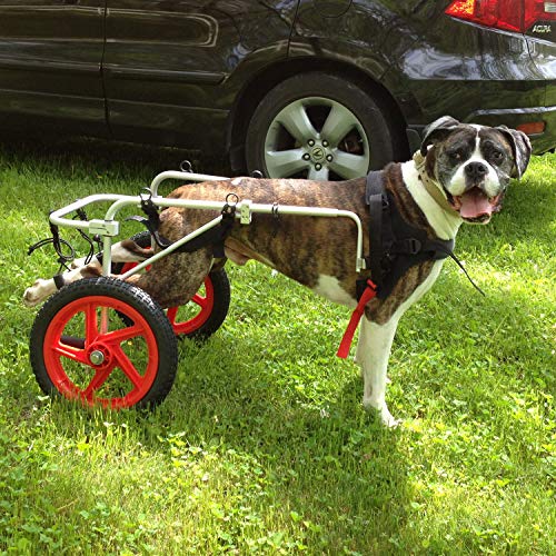 Best Friend Mobility Large Dog Wheelchair