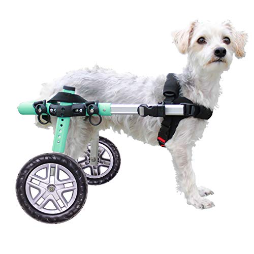 Walkin' Wheels Lightweight - for Small Dogs 11-25 Pounds - Veterinarian Approved - Dog Wheelchair for Back Legs